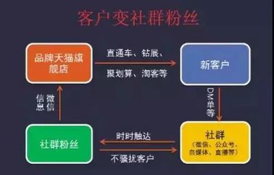 社群淘客 從淘寶天貓出發，玩轉社交電商的實戰指南